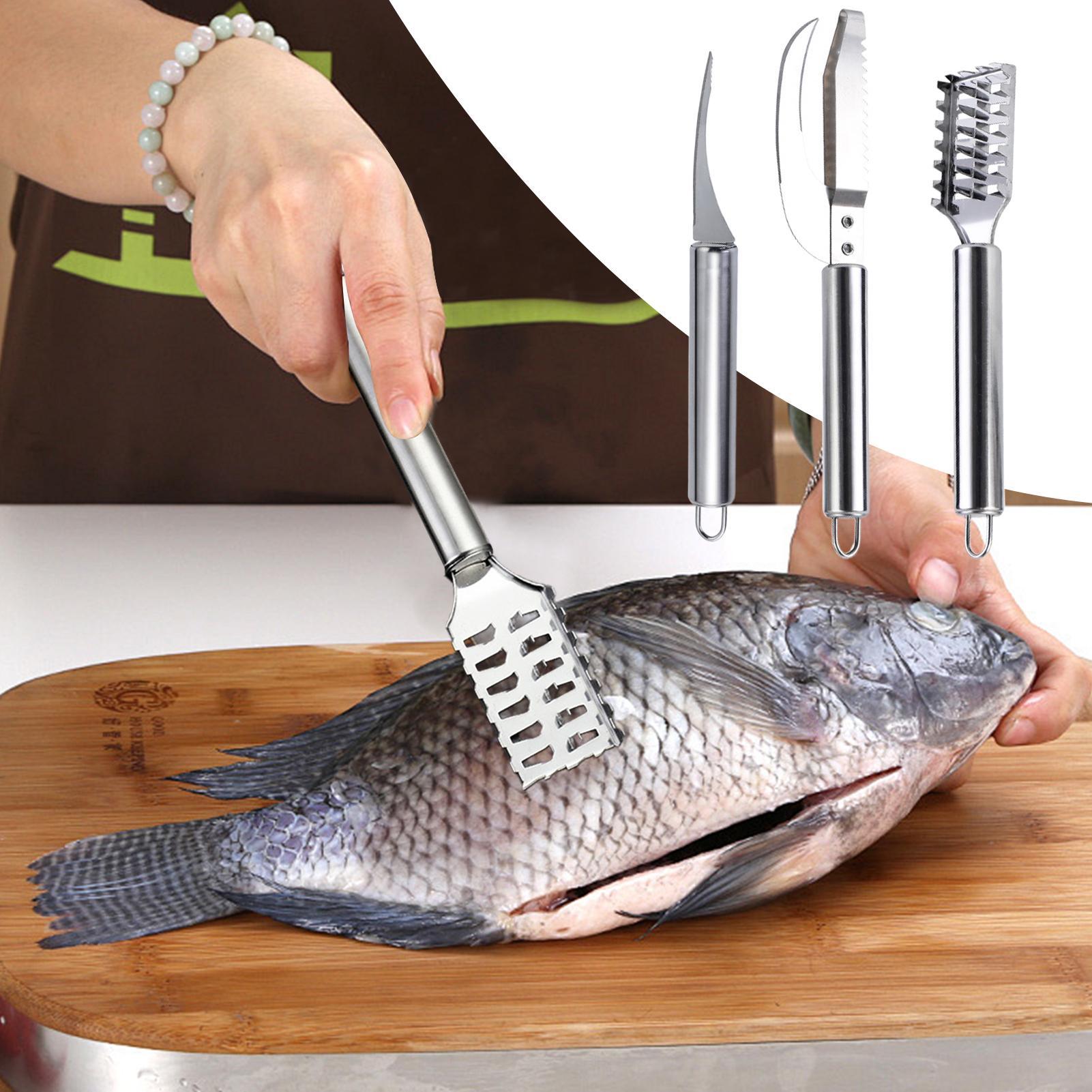 생선 비늘 제거 칼 새우 세척용 스테인리스 스케일러 생 - Kitchen Gadgets That Are Useful 리뷰 및 가격