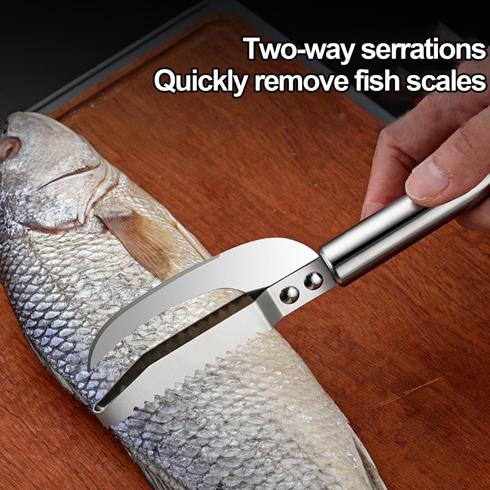 생선 비늘 제거 칼 새우 세척용 스테인리스 스케일러 생 - Kitchen Gadgets That Are Useful 리뷰 및 가격