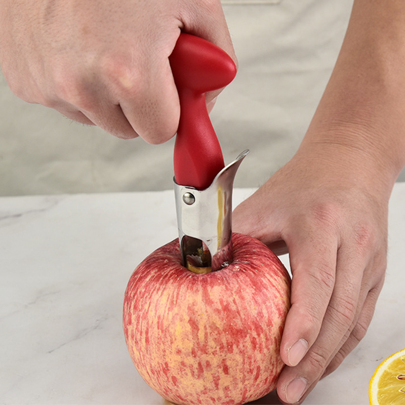 애플 코어러 스테인레스 스틸 과일 코어 커터, 배 애플 - Apple Corer Slicer 리뷰 및 가격